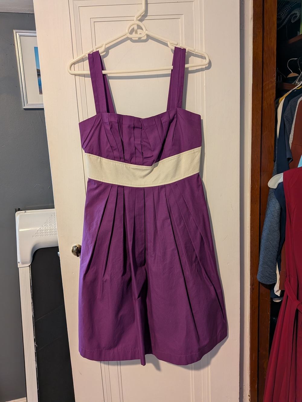 Purple Sleeveless Fit-and-Flare Dress with Cream Waistband